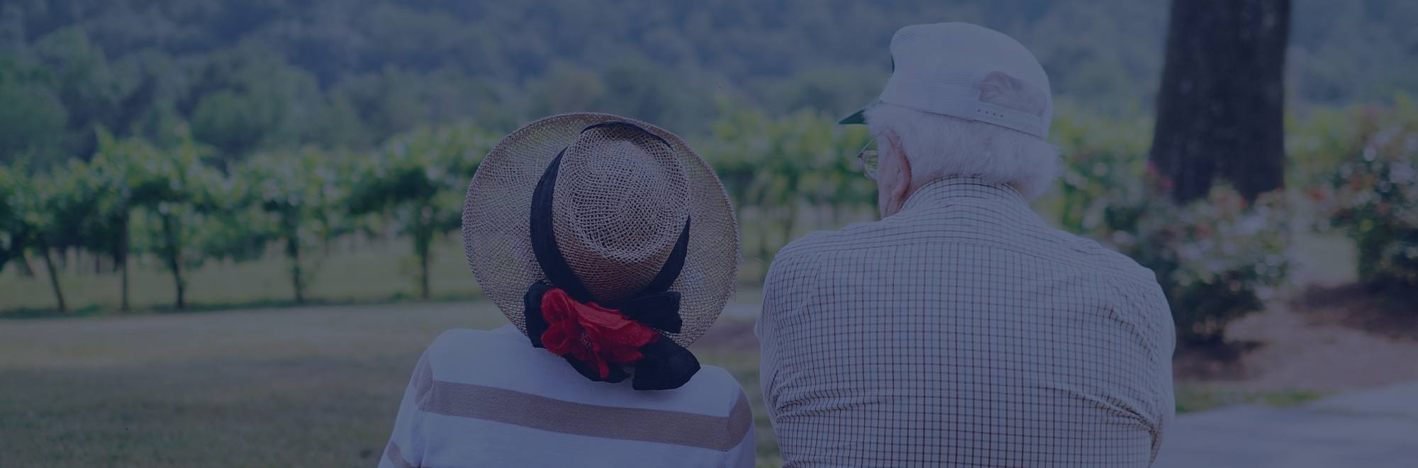 Pensions Supervision