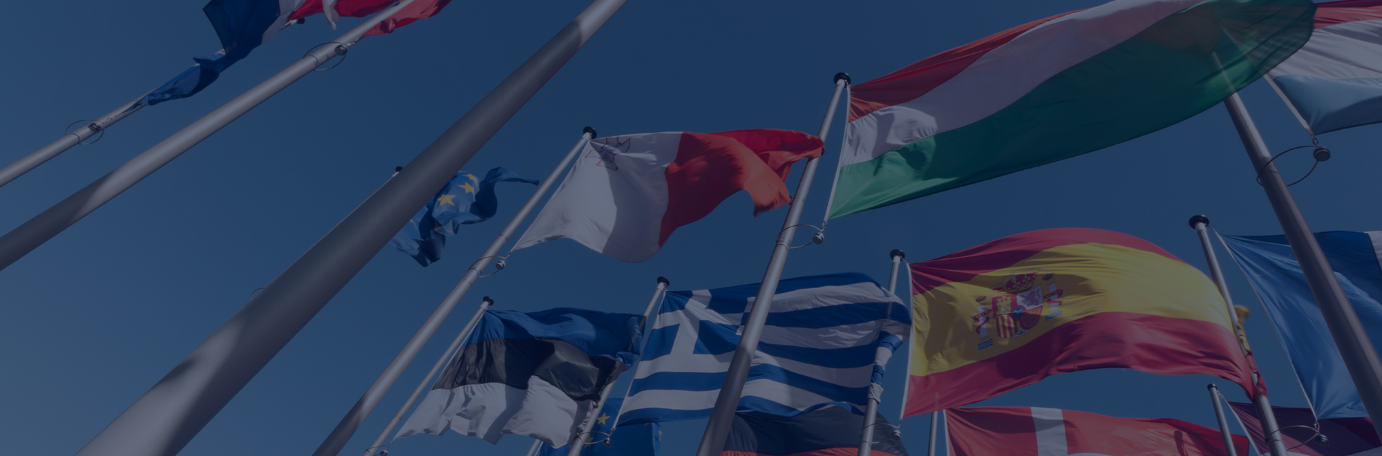 EU and International Affairs